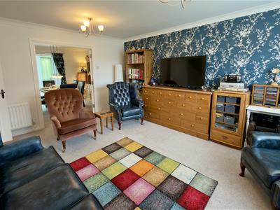 Picture 13